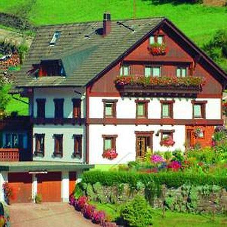 Gaestehaus Heimenberg Bad Rippoldsau-Schapbach Dış mekan fotoğraf