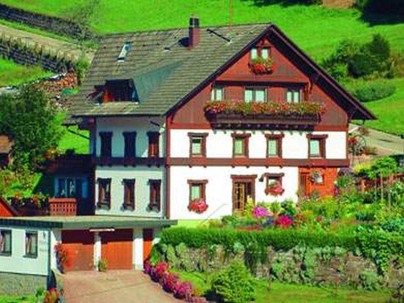 Gaestehaus Heimenberg Bad Rippoldsau-Schapbach Dış mekan fotoğraf
