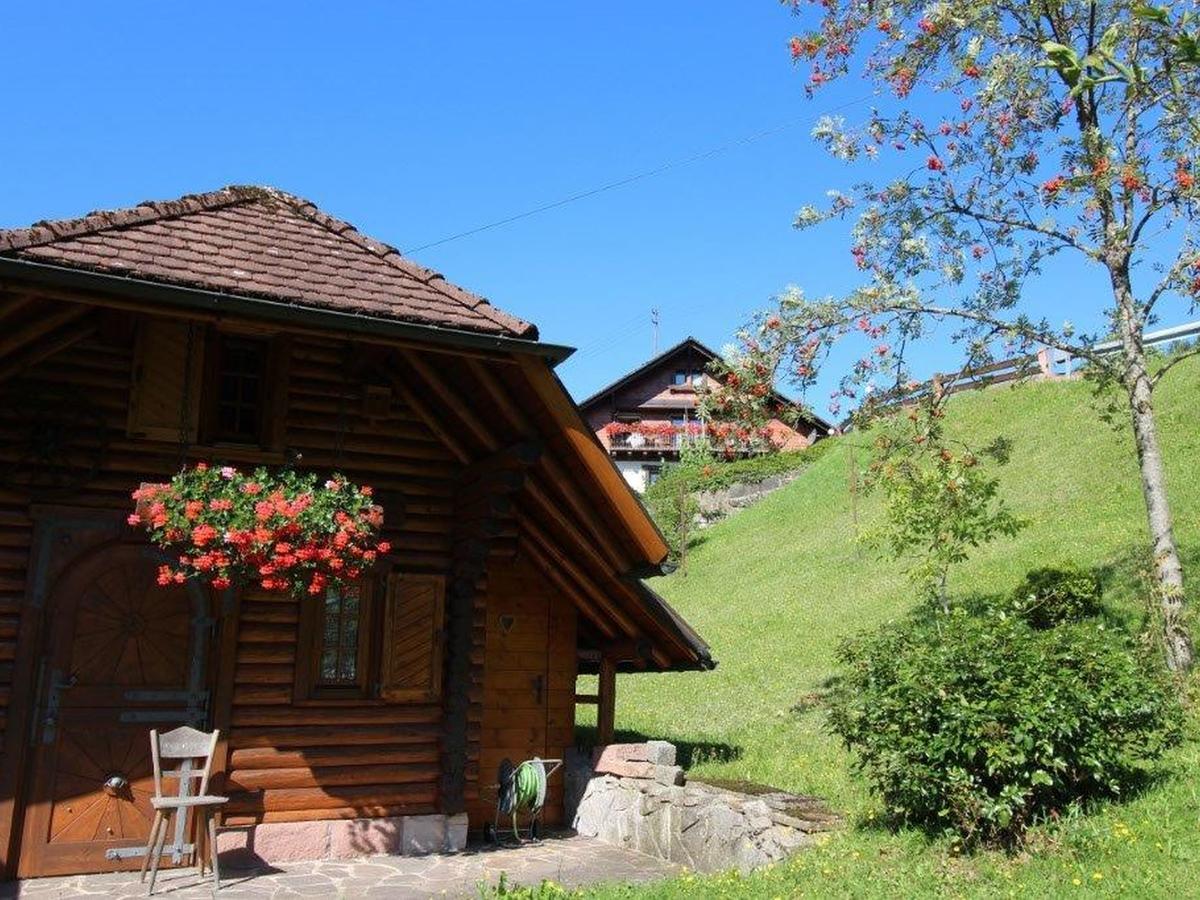 Gaestehaus Heimenberg Bad Rippoldsau-Schapbach Dış mekan fotoğraf
